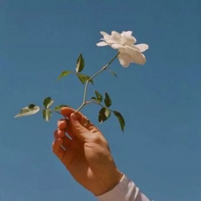 迷室3网易游戏下载
